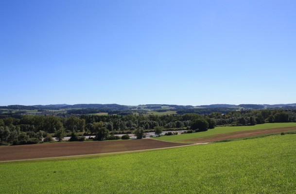 Sommer 5