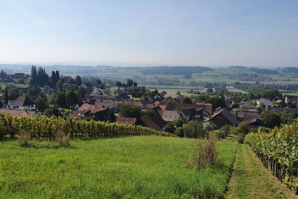 Stein am Rhein - Seebachtal - Frauenfeld