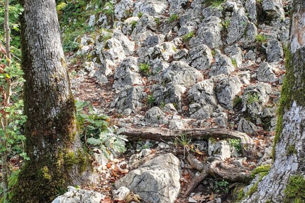 Gratwanderung über die Lägern