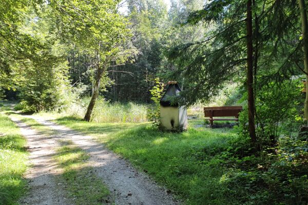 Im Wald zum Stählibuck