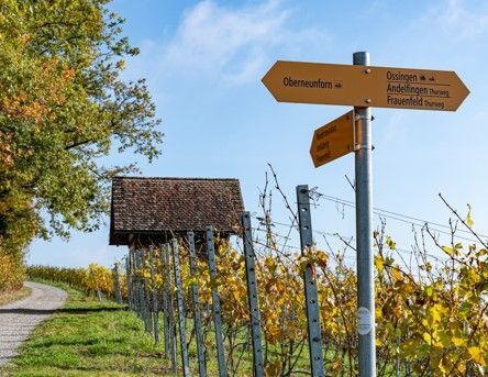 Zum tiefsten Punkt des Thurgaus