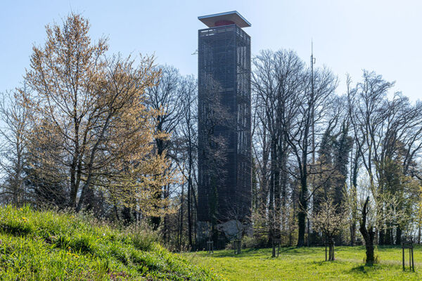 Rundweg Napoleonturm