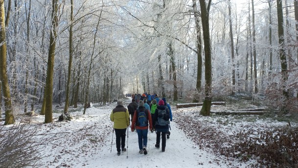 20250101_112714_resized