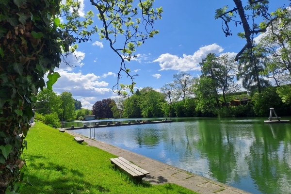 Appenzell und St. Gallen im Blick